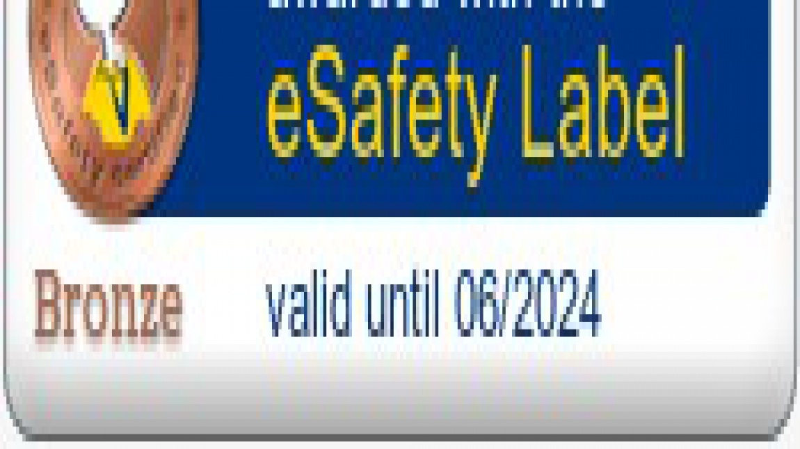 e Safety Label Bronze Belgemizi Aldık